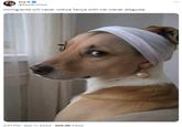 Joe G @EastEndJoe Immigrants will never notice Tanya with her clever disguise. 2:57 PM - Sep 11, 2024 206.9K Views