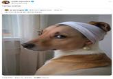 mtfk minutos @MutaFuka hailey bieber el jeringas @EUJeringasLoko - Sep 11 La morra que se llama Deisy 7:59 PM - Sep 11, 2024 - 3.8M Views
