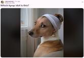 r/kpoopheads. 5 hr. ago Perfect_Ad_7808 Which kpop idol is this? ...