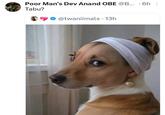 • Poor Man's Dev Anand OBE @B... 6h⠀ Tabu? @twaniimals • 13h