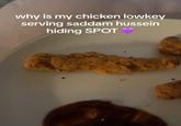 why is my chicken lowkey serving saddam hussein hiding SPOT ♥