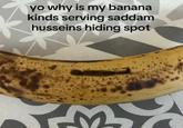 yo why is my banana kinds serving saddam husseins hiding spot