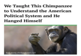 We Taught This Chimpanzee to Understand the American Political System and He Hanged Himself Full story: thehardtimes.net