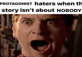 PROTAGONIST haters when th story isn't about NOBODY