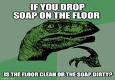 IF YOU DROP SOAP ON THE FLOOR IS THE FLOOR CLEAN OR THE SOAP DIRTY? imgflip.com