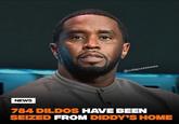 Diddy's Dildos rumor NEWS @outtapocketnews 784 DILDOS HAVE BEEN SEIZED FROM DIDDY'S HOME