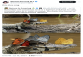 Women Posting W's @womenpostingws this diva omg Subscribe Nature is Amazing C@AMAZINGNATURE · Jul 16 Butterflies will sometimes land on a Caiman and drink its salty, crocodile tears to in order to survive. This helps the Caiman to feel both less sad and more fabulous. 5:15 PM Jul 16, 2024 6.6M Views