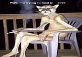 POV: I'm trying to heal in 2024 @Meme MentalAsylum