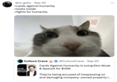 • @zs_goku Sep 20 >cards against humanity >looks inside >fights for humanity Cards Culture Crave ***** Against Humanit @CultureCrave · Sep 20 Cards Against Humanity is suing Elon Musk & SpaceX for $15M They're being accused of trespassing on and damaging company-owned property i...