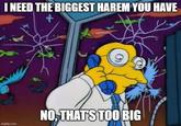 I NEED THE BIGGEST HAREM YOU HAVE imgflip.com NO, THAT'S TOO BIG