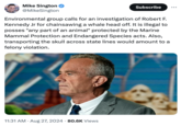 Mike Sington ✪ @MikeSington Subscribe Environmental group calls for an investigation of Robert F. Kennedy Jr for chainsawing a whale head off. It is illegal to posses "any part of an animal" protected by the Marine. Mammal Protection and Endangered Species acts. Also, transporting the skull across state lines would amount to a felony violation. 11:31 AM Aug 27, 2024 80.6K Views