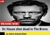 LIVE BREAKING NEWS Dr. House shot dead in The Bronx no more mouse bites