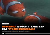 Nemo Shot Dead in the Bronx (Authorities Are Still Looking for the Suspect) NEWS @zestynews NEMO SHOT DEAD IN THE BRONX Authorities are still looking for the suspect. ZN