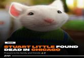 Stuart Little Found Dead in Chicago NEWS wwwww STUART LITTLE FOUND DEAD IN CHICAGO Prayers to his family and friends Y ההZ