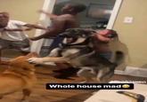 Jea 202 pann Whole house mad