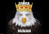 imgflip.com LEWICA OSZALAŁA