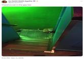Go Raibh Maith Agatha @yascaoimhin There's a cat in the gay bar. 3:32 PM - Dec 11, 2018