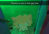 There's a cat in the gay bar