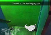 There's a cat in the gay bar GREMLIN