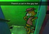 There's a cat in the gay bar