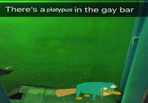 There's a platypus in the gay bar