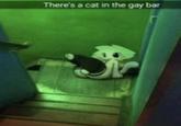 There's a cat in the gay bar