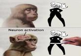 Neuron activation
