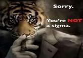 Sorry. You're NOT a sigma.