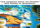 "we saiyans have no limits!" the limits in question: 1994353