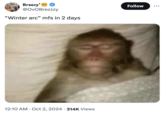 Breezy' ම @OvOBrezzzy "Winter arc" mfs in 2 days 12:10 AM Oct 2, 2024 314K Views Follow