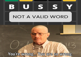 BUSSY NOT A VALID WORD O= H3 You're wrong... You are so wrong.