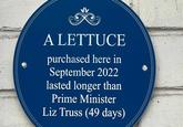 A LETTUCE purchased here in September 2022 lasted longer than Prime Minister Liz Truss (49 days)