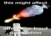 this might affect affect the trout population made with mematic