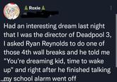 Roxie Had an interesting dream last night that I was the director of Deadpool 3, I asked Ryan Reynolds to do one of those 4th wall breaks and he told me "You're dreaming kid, time to wake up" and right after he finished talking immy school alarm went off imgfup.com