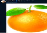 Deleted tweet from "Logan Paul":https://knowyourmeme.com/memes/people/logan-paul in response to Tommy Innit. The post shows an orange, possibly indicating Paul's attempt to call Tommy "sour" or "bitter."