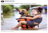 Stephen Kent @StephenKentX searing, emblematic image of dogs' love for their people 10:51 AM Oct 4, 2024