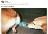 Parody of Amy Kremer tweet saying an image had been "Seared" into her mind, tweeted by Brissle. 