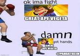 imgflip.com ok ima fight GREAT APE VEGETA damn GREAT got hands APE VEGETA @PANDATOXIIN