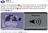 From the Screen to the Ring copypasta max volume meme