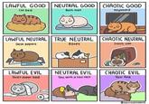 LAWFUL GOOD NEUTRAL GOOD CHAOTIC GOOD Cat bed Bath mat Keyboard LAWFUL NEUTRAL TRUE NEUTRAL CHAOTIC NEUTRAL Desk papers Boxes Trash can этом зной TRASH LAWFUL EVIL Toilet paper bed NEUTRAL EVIL You, with a tail rest CHAOTIC EVIL Your face catandcatcomics