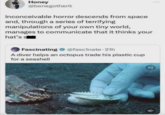 Honey @benegotherit Inconceivable horror descends from space and, through a series of terrifying manipulations of your own tiny world, manages to communicate that it thinks your hat's s Fascinating @fascinate 21h A diver helps an octopus trade his plastic cup for a seashell 95 A
