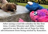 After seeing a real life echidna for the first time, Cookie Monster and Abby Cadabby agreed to sue the s--- out of Sega for false advertisement from being misled by Knuckles.