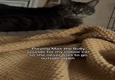 Playing Max the Bully sounds for my indoor cat so she never tries to go outside again