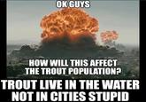 OK GUYS imgflip.com HOW WILL THIS AFFECT THE TROUT POPULATION? TROUT LIVE IN THE WATER NOT IN CITIES STUPID