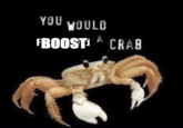 You can't tell me what to do! YOU WOULD A FBOOST CRAB