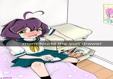 F3NDEY mom found the yuri drawer TR