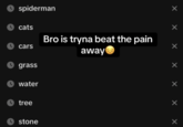 spiderman cats cars Bro is tryna beat the pain away grass water tree stone ×