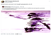 NOT Potato Bolshevik @NotPotBol Americans are just not taught geography at all Rubysapp @RubysappZ - Oct 16 chinese paratroopers after they set foot in California during the summer x.com/iBMM335/status... 8:17 PM Oct 18, 2024 4.5M Views