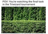 POV: You're watching the final task in the Triwizard tournament