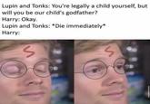 Lupin and Tonks: You're legally a child yourself, but will you be our child's godfather? Harry: Okay. Lupin and Tonks: *Die immediately* Harry: S S 45